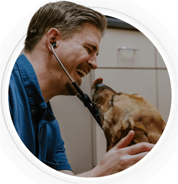 Veterinary Business Intelligence