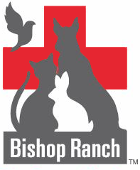 Bishop Ranch Veterinary Group