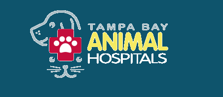 Tampa Bay Veterinary Group