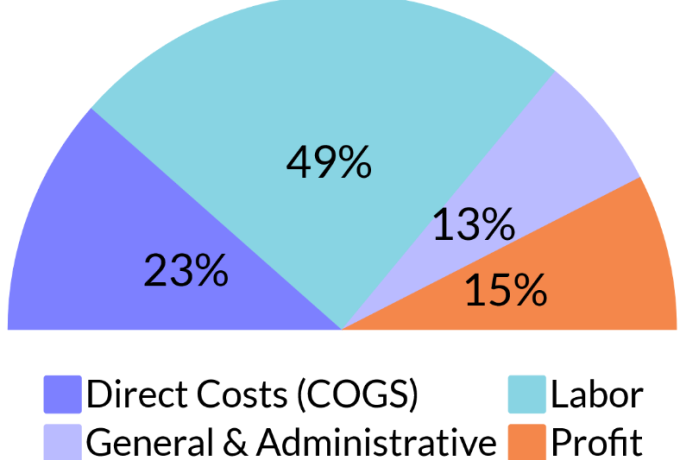 Veterinary Hospital Income Statement